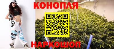 прущие крисы Бийск