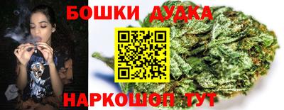 прущие крисы Бийск