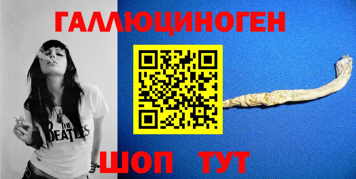 Псилоцибиновые грибы Cubensis Аша